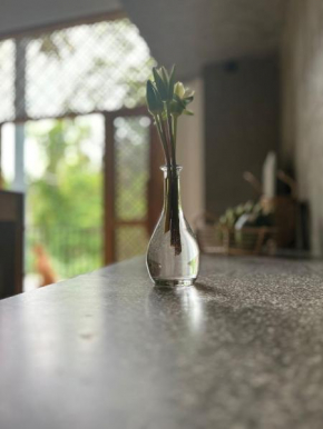 Hibiscus house read